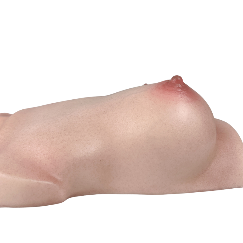 Realistic female anatomy replica with natural skin texture and subtle pink tones, designed for intimate use.