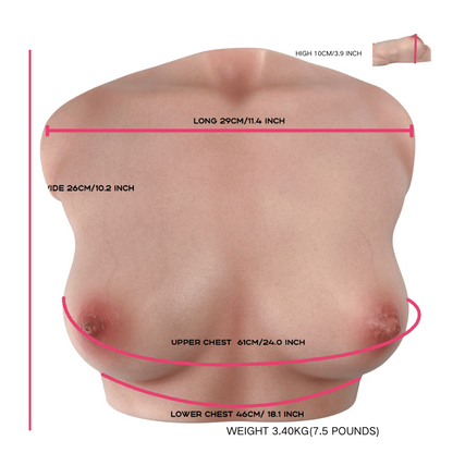Realistic female torso with detailed skin texture, natural curves, and labeled measurements for chest and height.