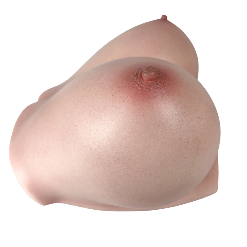 Realistic silicone male masturbator with detailed labia and natural skin texture